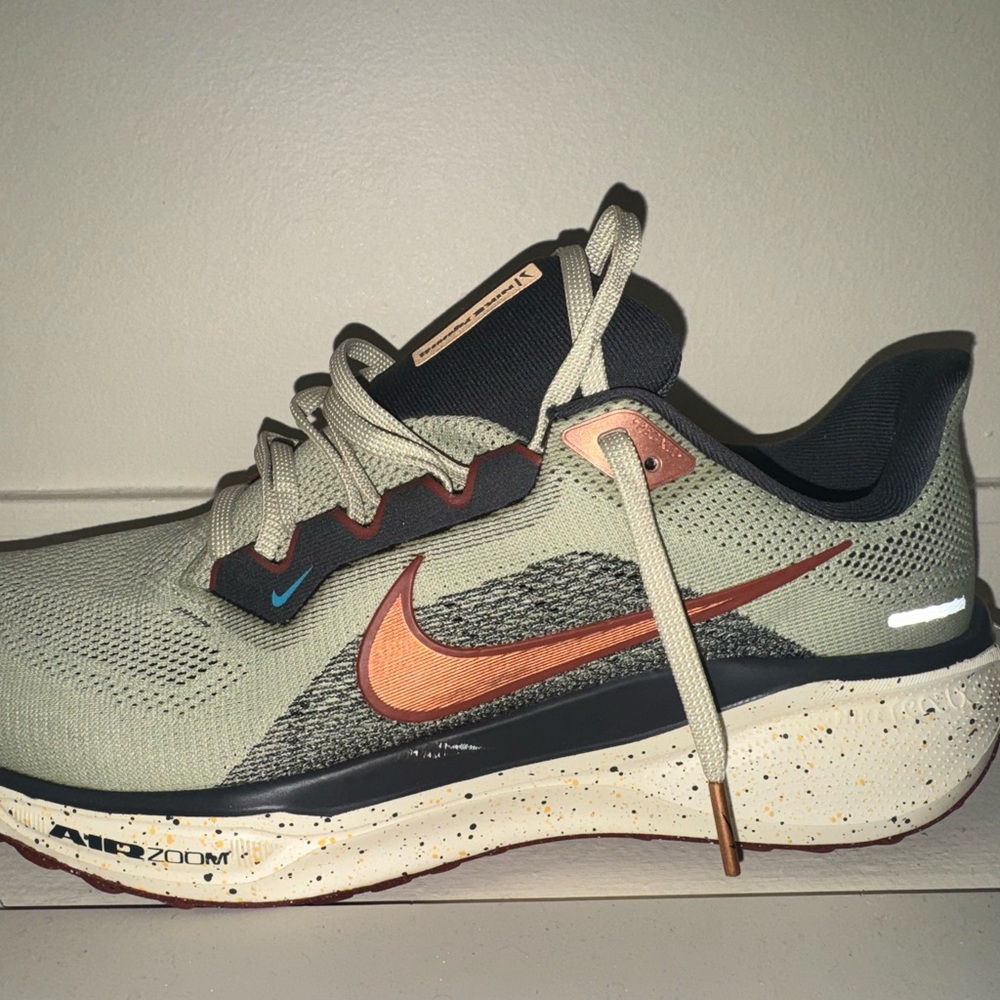 Nike Pegasus 41 Men's Road Running Shoes (No Box)